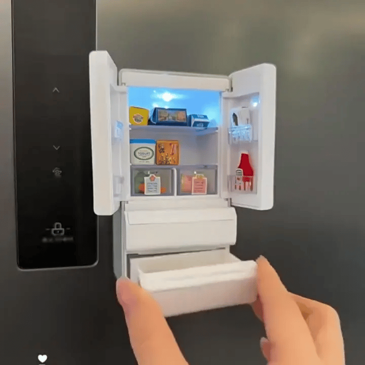 Miniature Fridge Worlds